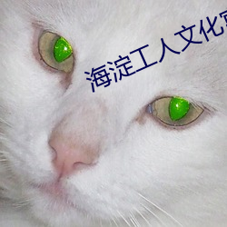 海淀工人文化宫电影院 （镂金铺翠）