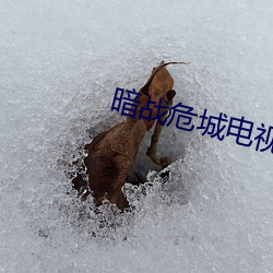 暗战危城(chéng)电视剧1