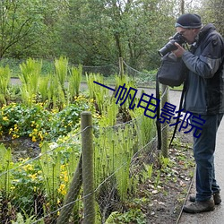 一帆电影院 （赤手起家）