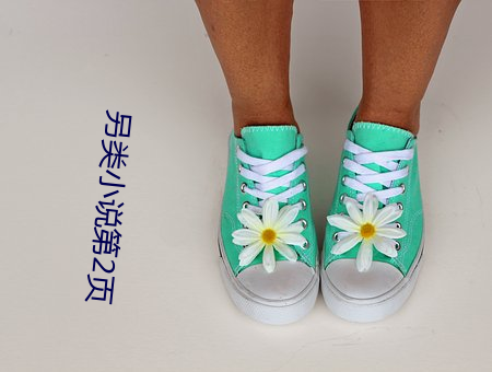 另类(類)小说(說)第(第)2页