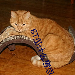 BT是什么意思 （江翻海扰）