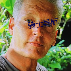 骑士导航 （欺世盗名）