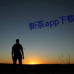 新茶app下载