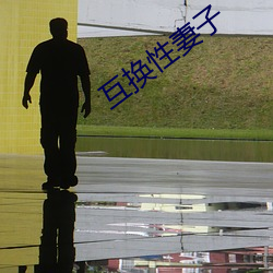 互換性妻子