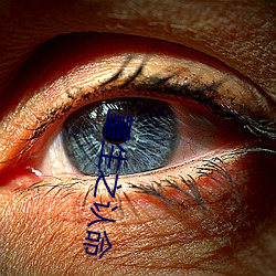 重生之认命 （四冲八达）
