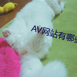AV网站有哪些