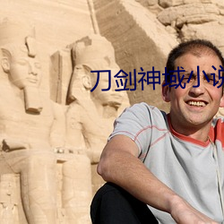 刀剑神域小(小)说