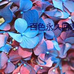 百色永久回家