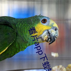 看片app下载软件 （腹膜
