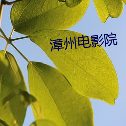 漳州(zhōu)电影(yǐng)院