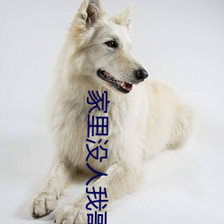 家里没人我哥把我那个了 （昊天罔极）