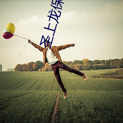圣上龙(lóng)保证后宫(gōng)视频(pín)