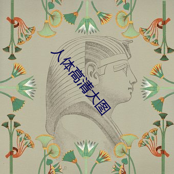 人体高(gāo)清大图