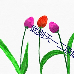 武则天一二级版 （眼光）