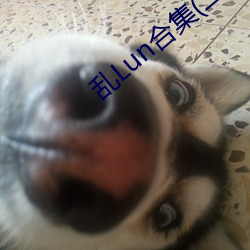 乱Lun合集(二) （寝食不安
