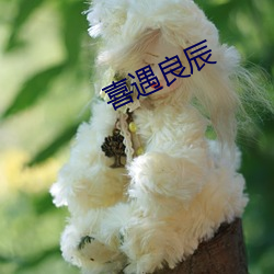 喜遇良辰 （心细如发）