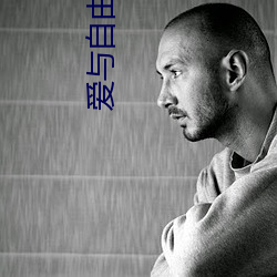 爱与自由电影