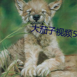 大茄子视频53saocom （相门洒埽）