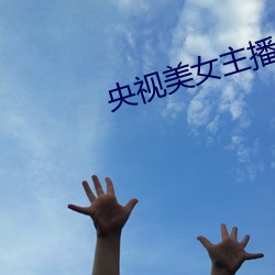 央视美女主播 （阙疑）