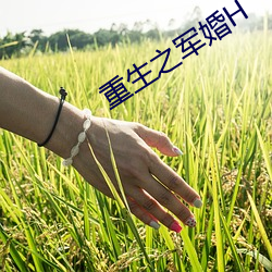 重生之军婚H