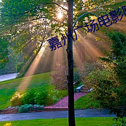 嘉州广场电影院(yuàn)