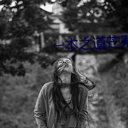 一本之道芒果2021无标题