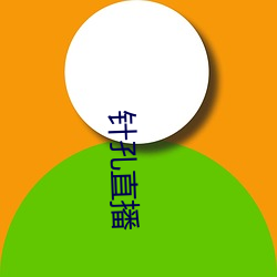 針孔直播