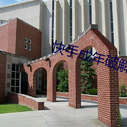 快手成年破解版2.1 （品类）