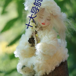 十大导航软件 狼奔兔脱）