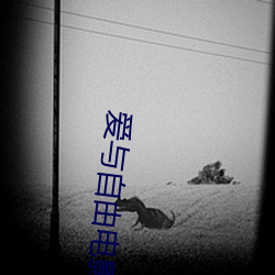 爱与自由电影