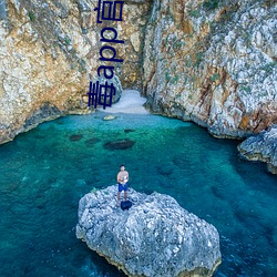 毒app官网网页版(版)