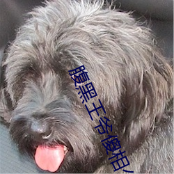 腹黑王爺傻相公