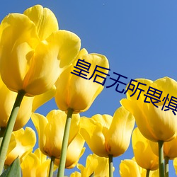 皇后无(無)所畏惧(懼)