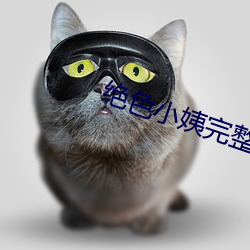 絕色小姨完整