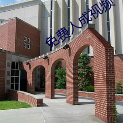 免费人成视频