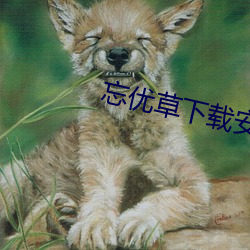 忘優草下載安裝