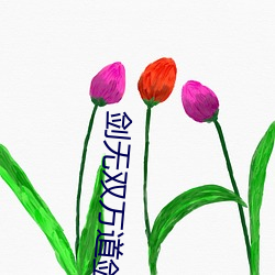 剑无双万道剑尊免费阅读