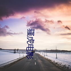 骚虎(虎)影戏(影)