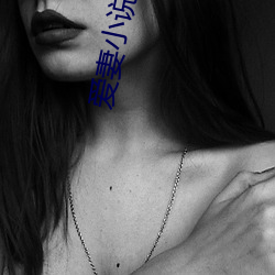 爱妻(妻)小说