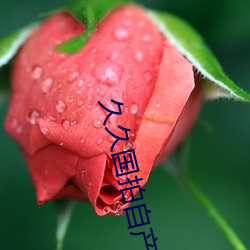 久久国拍自产 （翻手是雨，合手是云）