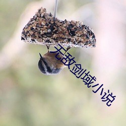 vwin·德赢(中国) - 官方网站