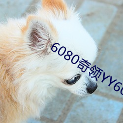 6080奇领YY6080影院奇领 （视为兒戏）