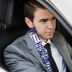 第三种爱情小说