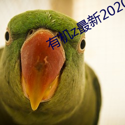 有機z最新2020中國 app