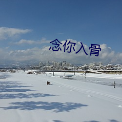 念你入骨