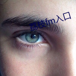 荔枝fm入口