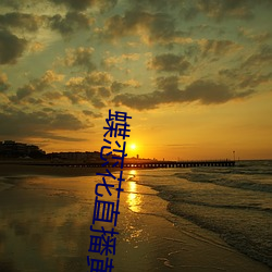 金年会(中国)官方网站