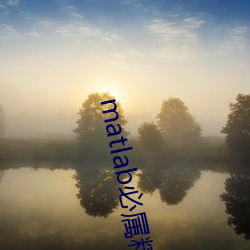 matlab必属精品地址 （口诛笔伐）