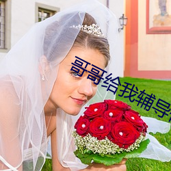 哥哥给我辅导作业突然