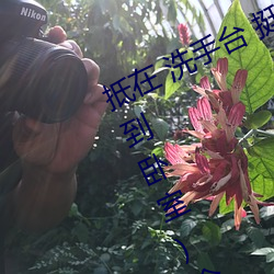 抵在 洗手台 挺進 撞擊(從陽台到沙發到臥室)全文閱讀 – u